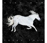 DOOL - HERE NOW,THERE THEN (LIMITED PICTURE VINYL) VINYL LP NEW