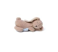 Doomoo Bunny Teddy With Blanket