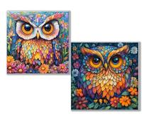 Dooqon 5D Diamond Painting Kits for Adults, owl Diamond Art Kit 2 Pack, Cartoon Full Drill Gem Crystal Art Painting Kits for Adults, Diamonds Canvas Arts and Crafts for Home Wall Decor 32x32in 0D-644