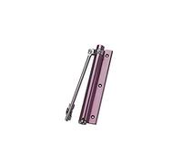 Door Closer,Gate Closer 1Pcs Door Closers, Automatic, Invisible Springs, Buffered, Closing Hinges(Red)