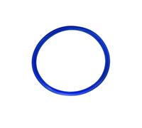 Door gasket sterlization door seal replacement Chamber accessori