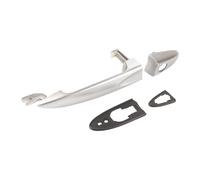 Door handle aluminum look front left 735433500