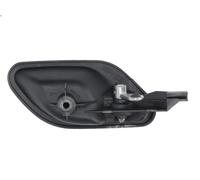 BLIC 6010-05-011409P Door Handle