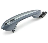 NTY EZC-BM-117 Door Handle