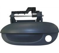 AIC 54461 Door Handle