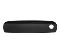 BLIC 6010-25-048401P Door Handle