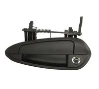 BLIC 6010-07-036401PP Door Handle