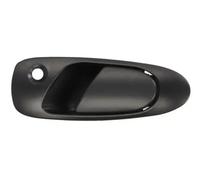 BLIC 6010-12-017401P Door Handle