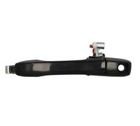 BLIC 6010-12-046401P Door Handle