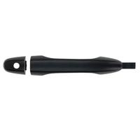 BLIC 6010-12-052401P Door Handle