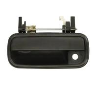 BLIC 6010-19-062401P Door Handle