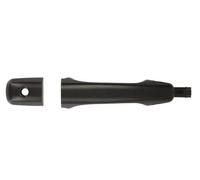 BLIC 6010-24-022401P Door Handle