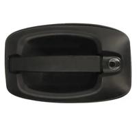 BLIC 6010-30-003401P Door Handle