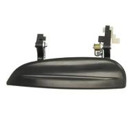 BLIC 6010-53-008401P Door Handle