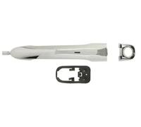 BLIC 6010-07-040401PPP Door Handle