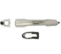 BLIC 6010-07-050401P Door Handle