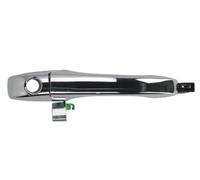 BLIC 6010-58-011401PP Door Handle