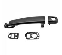ELECTRIC LIFE ZR8081003 Door Handle