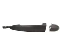 Door handle Left Rear 6010-05-021403P BLIC for BMW X5 X6 3 Touring 3