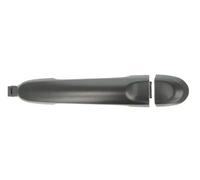 Exterior Door Handle BLIC 6010-16-061406P for MICRA IV (K13K, K13KK) 1.2 2010-