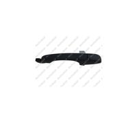 Door Handle LM111Q 5074189AF
