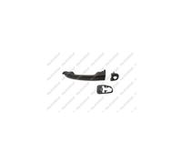 Door Handle LM178Q 735442387