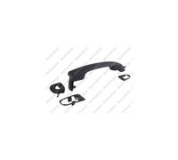 Door Handle LM179Q 735453938