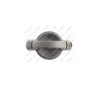 Door Handle LM193Q 735296050