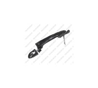 Door Handle LM281Q GS3L59410A60
