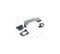 PRASCO VG1018103 Door Handle