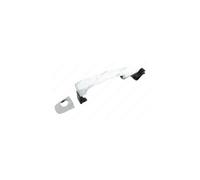 Door Handle LM461Q 9101HR