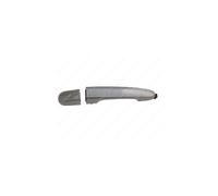 Door Handle LM894Q