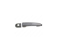 Door Handle LM895Q