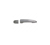 Door Handle LM896Q