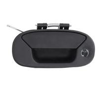BLIC 6010-07-029417PP Door Handle