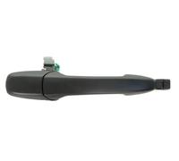 BLIC 6010-14-037404P Door Handle