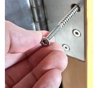 Door Hinge Wood Screws #10 x 3" Extra Long Stainless Steel 20 Pack Star Drive T25 Sharp Cutting Self Tapping 305 Grade Rust Resistant Commercial or Residential Heavy Duty Quantum Forge Fasteners