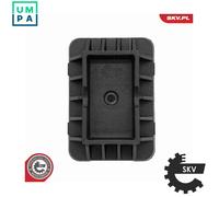 ESEN SKV Door Lock 16SKV844 - Rear Right for Mercedes C-Class CLS M-Class