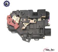BLIC 6010-25-016434P Door lock