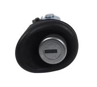 Door Lock Catch OE:7701367940 OEM Car Tailgate Trunk Lid Lock Cylinder Auto Door Lock Cylinder for Twingo for Logan K832 Actuator