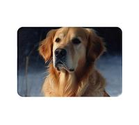 Door Mat 16 x 24 in Golden Retriever Print Non-Slip Floor Mats Front Door Welcome Carpet for Indoor Outdoor