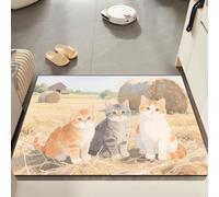 Door Mat 40x60 cm Orange Grey Cat Non Slip Mat Indoor Low Profile Washable for Kitchen Front Door Patio Pets and Dogs Entrance Rug Dirt Trapping Floor Doormats Inside