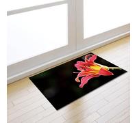 Door Mat 50x80 cm Black Pink Lily Inside Non Slip Floor Mat Soft Doormat Indoor Front Back Door Washable Absorbent Entrance Rug for Entryway Patio Pets Kitchen Garden