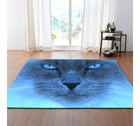 Door Mat 50x80 cm Blue Grey Cat Door Mats Indoor Outdoor Doormat Absorbent Non Slip Mat Washable Door Mat Floor Mat Indoor Door Mat for Entryway Patio Pets