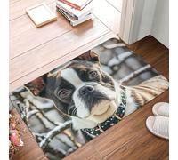 Door Mat 60 X 40 CM Non-Slip Dirt Trapper Welcome Mats Machine Washable DoorMat Lovely Boston Terrier Front Door Mats Indoor Outdoor Entrance Mat Floor Mat for Garage Patio Porch Farmhouse