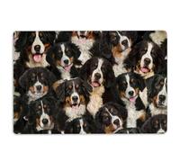 Door Mat A Bunch Of Bernese Mountains Dog Pattern Gifts For Dog Lover Welcome Non-Slip Mats Funny Doormat Bathroom Kitchen Front Porch Rugs Entrance 16 * 24in/40 * 60cm