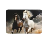 Door Mat Absorbent Non-Slip Bath Mat for Bathroom Rug Horse passing through the clouds Doormat Front Door Mat Bath Rug Outdoor Indoor Area Rugs Entrance Doormat for Entryway Bedroom Floor Bathtub