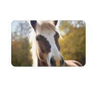 Door Mat Absorbent Non-Slip Welcome Mat All-Weather Heavy Duty Floor Mats Animal Pony Horse Front Doormat Low Profile Porch Entrance Mats Kitchen Rugs for Entryway Bath 20" x 31.5"
