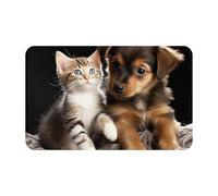 Door Mat Absorbent Non-Slip Welcome Mats Washable Kitchen Rugs for Entryway Front Door Mat Cute Cats and Dogs Playing Doormat Outdoor Indoor Entrance Doormat for Bedroom Kitchen Porch 80x49 cm
