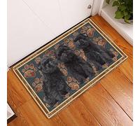 Door Mat Affenpinscher Flower Paw Entrance Door Mats Funny Utility Welcome Mat For Doorstep Kitchen Inside 40X60Cm